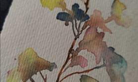 Initiation à l'aquarelle pour les grands débutants