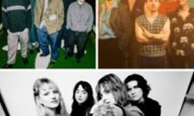 Lime Garden + Body Horror + Martial Arts