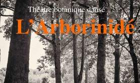 Collectif AiÔn - L'Arborinidé