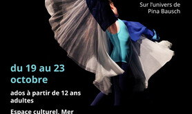 Stage danse, théâtre, musique