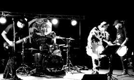 les effets meres  - groupe punk rock festif /chansons francaises