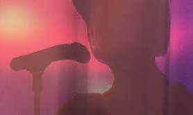 Orchestre les dauphins  - Spectacle