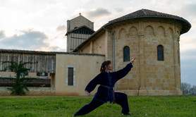 Association Alaya - Cours et stages de Qi gong