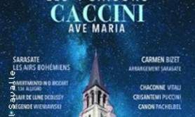 Les 4 Saisons de Vivaldi  - Ave Maria et Célébres Concertos