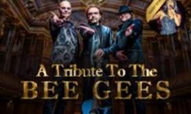 Night Fever - A tribute to The Bee Gees