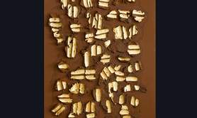 Exposition Sylvie Mayer Villa Parry