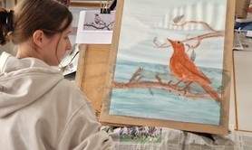 Stage de dessin et de peinture à Diemeringen