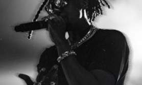 Still Fresh - Tournée