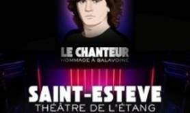 Le Chanteur Hommage à Balavoine