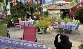  Ferme aux Mille Lumières Savourez nos glaces à L'Italienne