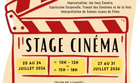 Stage cinéma : Jeu face à une caméra : filmer, caster,...