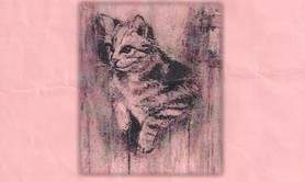 Marie-Catherine TESTA - Cours de dessin et peinture