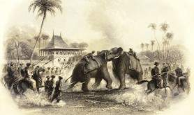 Musée de la Compagnie des Indes