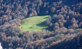 Forêt d'Iraty