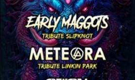 Early Maggots - Concert Tribute