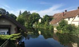 Stage de chant classique pour adultes (+16 ans)