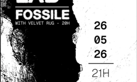 Fossile + Velvet Rug