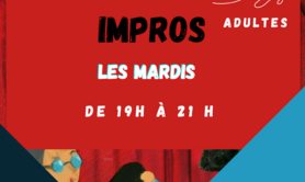 Compagnie A TOI THEATRE - ATELIER THEATRE - IMPROS - ADULTES