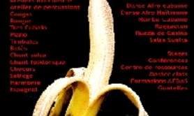 cours de musiques cubaines