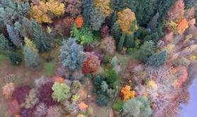 Arboretum de la Martinière