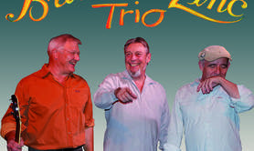 Brins de Zinc Trio - Chansons en français
