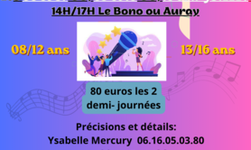Stages de chant, technique vocale et attitudes scéniques