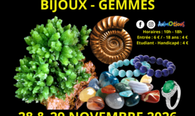 Salon Minéraux Fossiles Cristaux & Bien-Être Gemmes & Bijoux