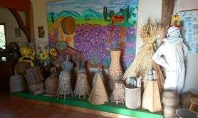 Musée de l'Abeille