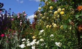 Le jardin des poètes et des anges