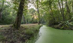 Marais de Labarde