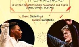 Sunday Flamenco - Le Cycle de Flamenco sur Paris