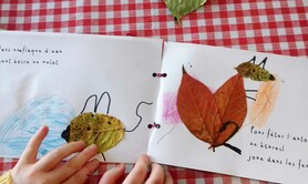 Mini livre 