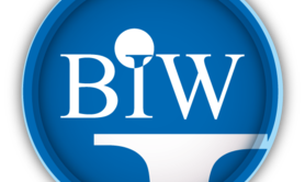 BIW Agency - Informaticien Chevalier