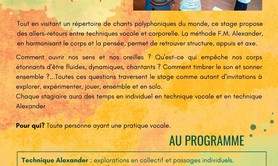 stage voix/chant et technique alexander