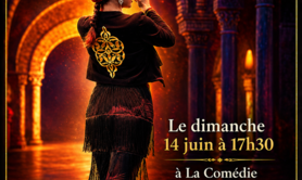 spectacle des élèves - danse flamenco