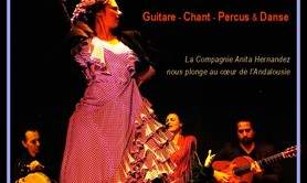 Grand Concert FLAMENCO avec Danseuse