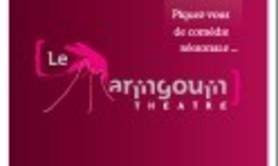 Assocation théâtre du maringouin - Formation à la pratique théâtrale, spectacle annuel