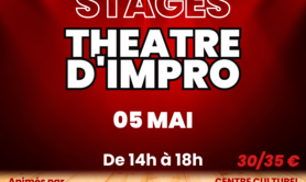 Stages Théâtre d'Impro