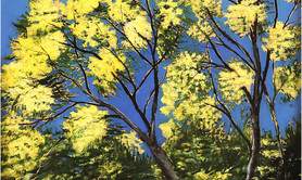 Mémoire du Sud, Geneviève Garcia-Gallo