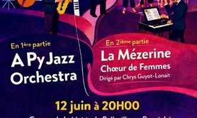 A Py Jazz Orchestra et la Mézerine