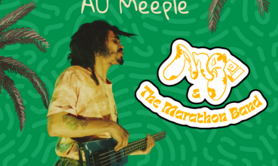 Concert Reggae au Meeple