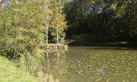 Etang de Caumont