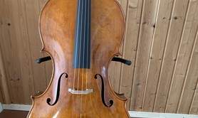 Conseiller  artistique  - Instruments à corde