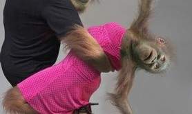 DG DANSE - COURS DE DANSE