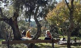 O MOT HABILIS - association d'ateliers d'écriture ludiques et littéraires