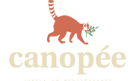 Canopée