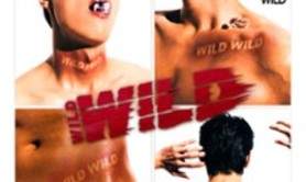 Wild Wild - Unleash Your Instincts !