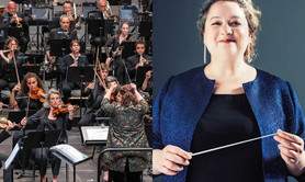 Cosmopoles, de l'aurore au zénith