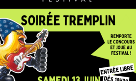 Les Vosges ont un incroyable talent