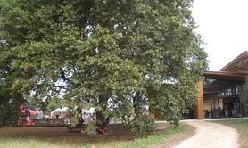 Réserve Naturelle d'Arjuzanx